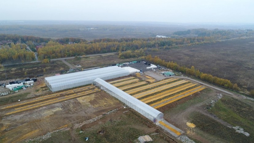 В Раменском открылся новый тепличный комплекс