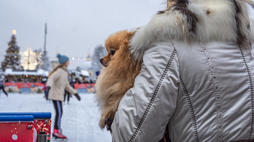 В Москве не планируют вводить ограничения на работу катков в праздники