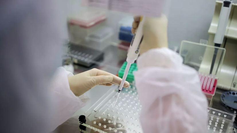 В России за сутки проведено 539 тысяч тестов на коронавирус