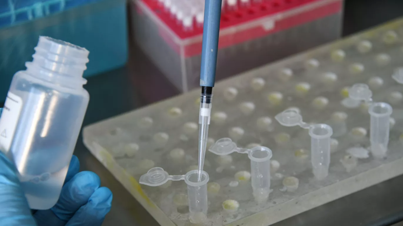 Johnson & Johnson запустила финальные испытания вакцины от COVID-19
