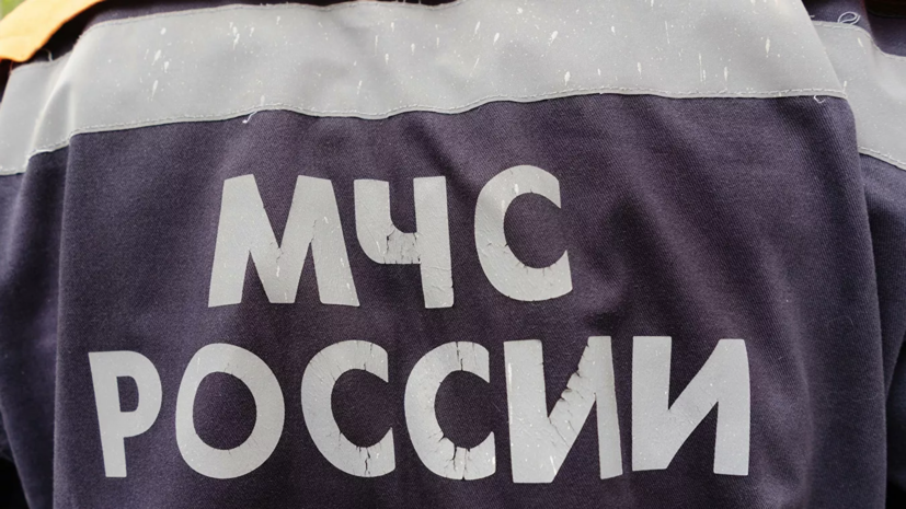 Три человека погибли при падении легкомоторного самолёта в Ленобласти
