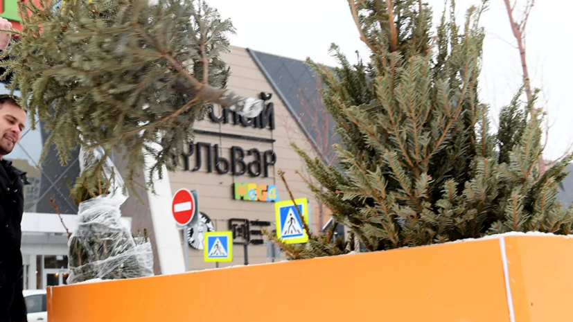 В Московском зоопарке запустили акцию по сбору ёлок