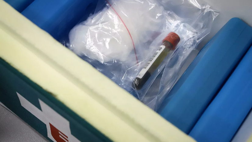 В России выполнено более 96 млн тестов на коронавирус