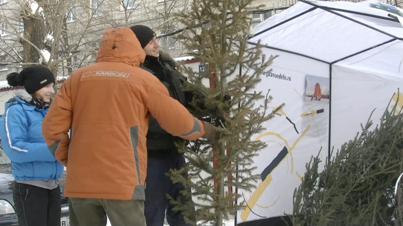 Жители Подмосковья сдали в переработку более 15 тысяч ёлок