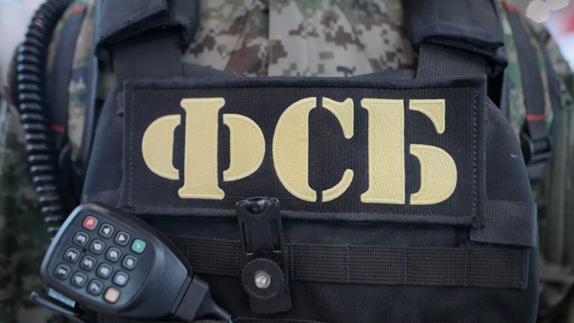 ФСБ задержала сторонников украинских неонацистов в Геленджике и Ярославле