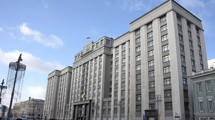 В Госдуме поддержали идею оплачивать допотпуска отцам после рождения ребёнка