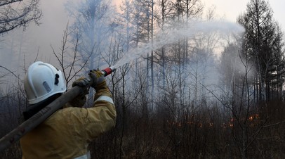 В России за сутки потушили 89 лесных пожаров