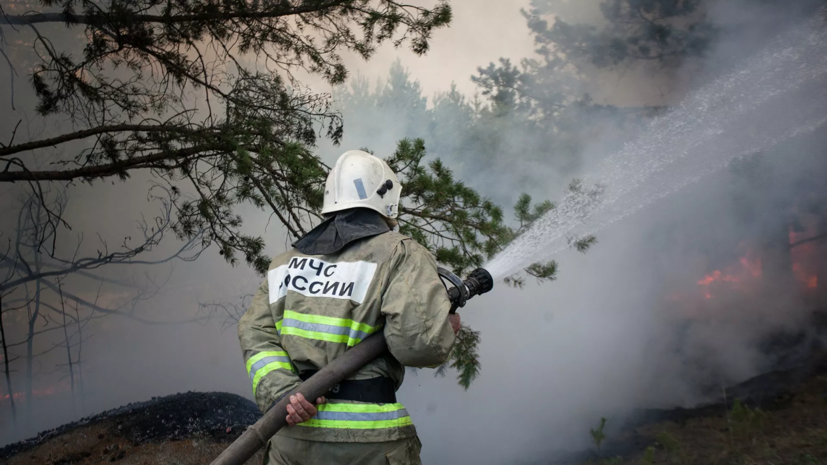 Карта природных пожаров тюменская область