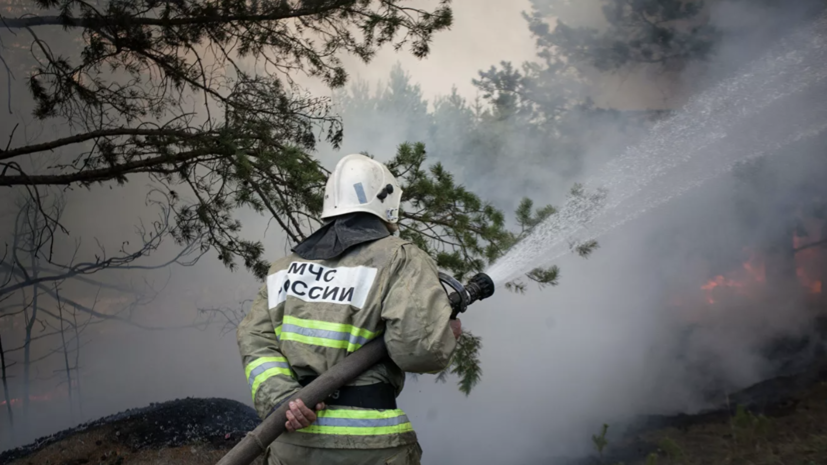 В Тюменской области потушены 90% лесных пожаров