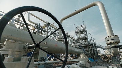Немецкий депутат оценил действия США в ситуации с Северным потоком 2