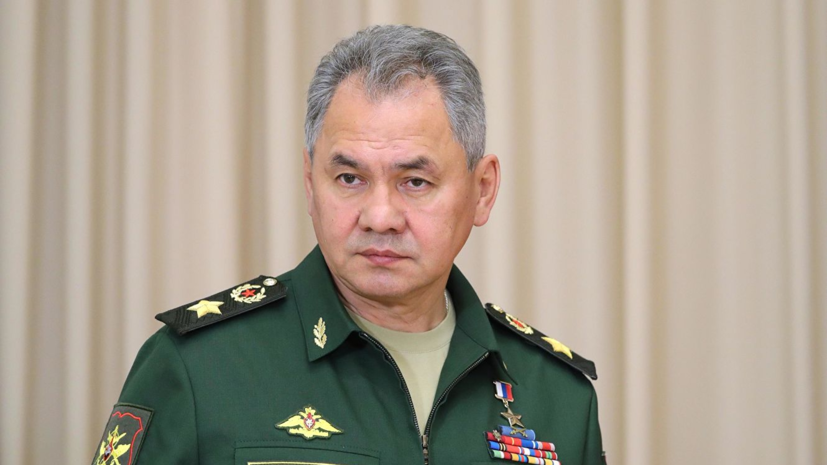 Шойгу заявил о планах по развитию военного сотрудничества с Сербией