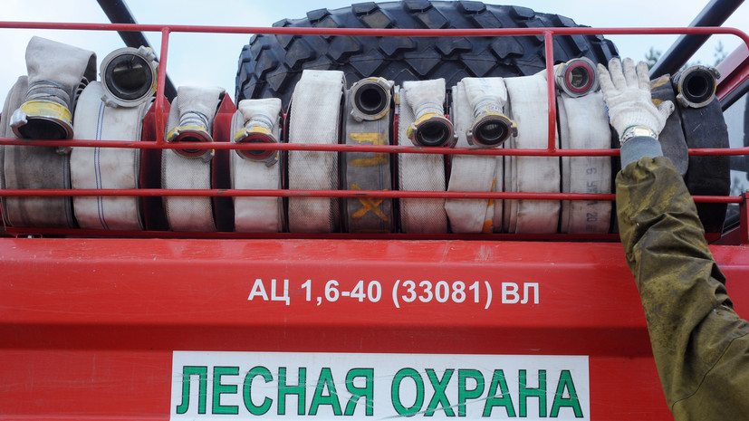 Более 100 га леса горят на Камчатке