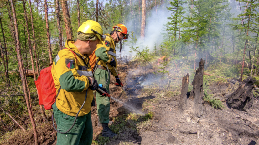 В России за сутки потушили 75 лесных пожаров