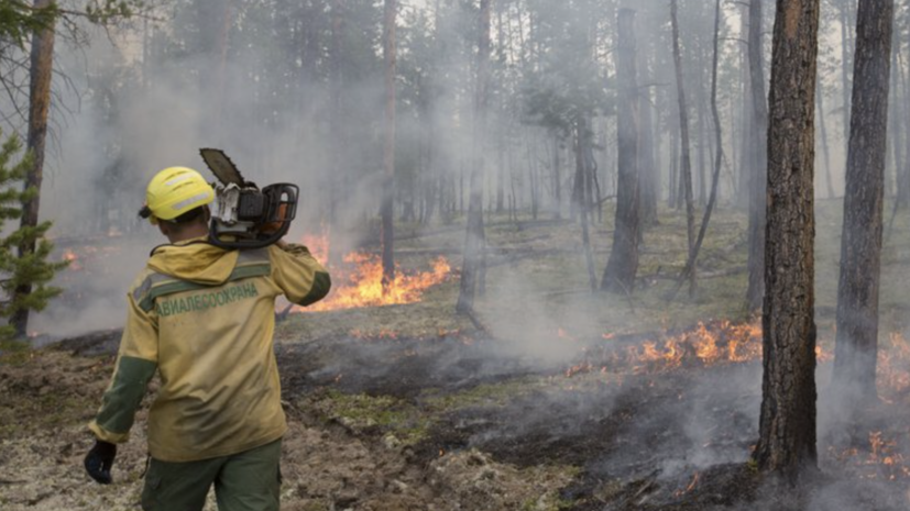В России за сутки потушили 99 лесных пожаров