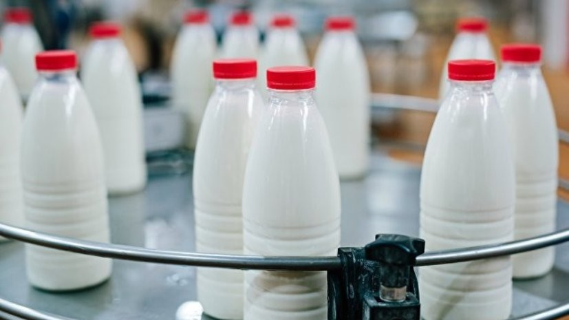 Производство молока в Подмосковье достигло 300 тысяч тонн за январь — май