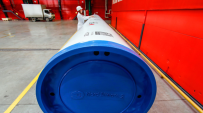 В бундестаге назвали условие Киева по Крыму и Nord Stream 2 чушью