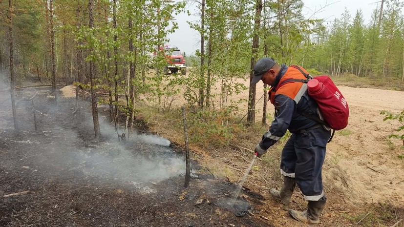Вильфанд сообщил, когда ситуация с лесными пожарами в Якутии улучшится