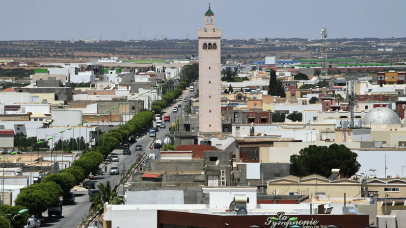 The Russian Embassy told about the situation in Tunisia - Teller Report