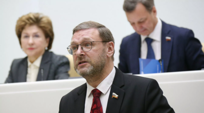 В Совфеде назвали неизбежным шагом обращение России в ЕСПЧ с жалобой против Украины