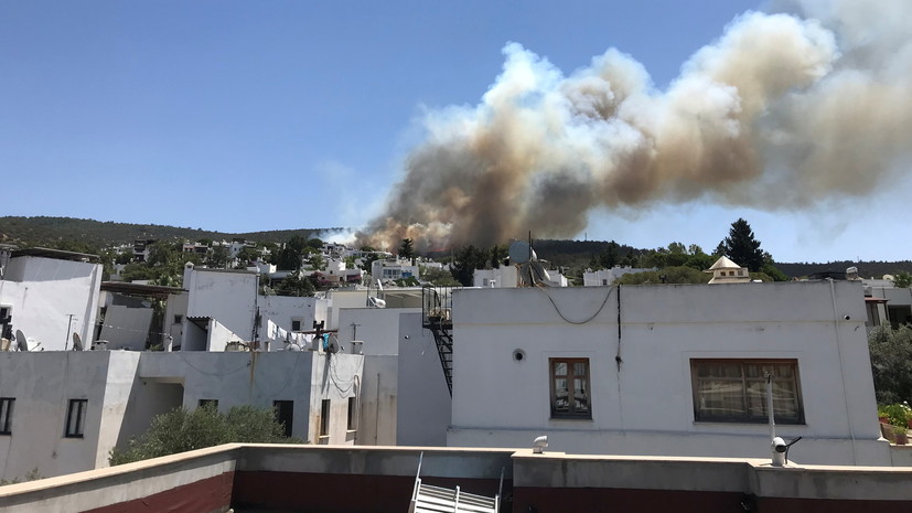 Природный пожар в турецком Бодруме взят под контроль