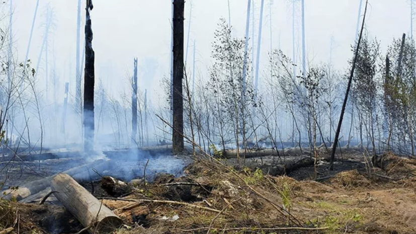 В МЧС по Нижегородской области рассказали о ситуации с пожаром в заповеднике Мордовии