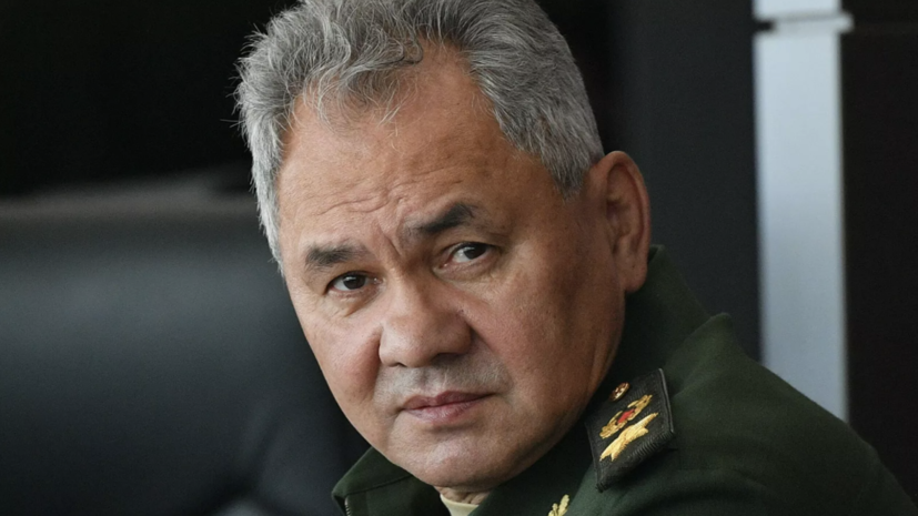 Шойгу назвал число батальонно-тактических групп в российской армии