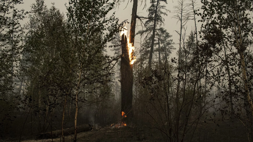 В МЧС заявили о ликвидации всех основных очагов пожаров в Якутии