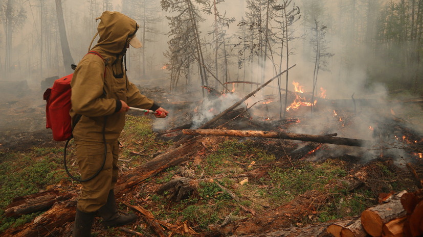 Замглавы МЧС рассказал о ситуации с лесными пожарами в Якутии