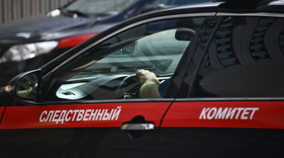 Задержан ещё один сбежавший из ИВС в Истре заключённый