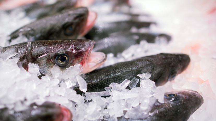 Ретейлеры зафиксировали снижение интереса россиян к замороженным морепродуктам