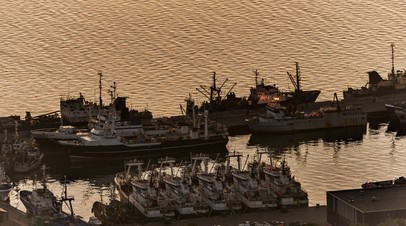 Землетрясение магнитудой 3,7 зафиксировали на Камчатке