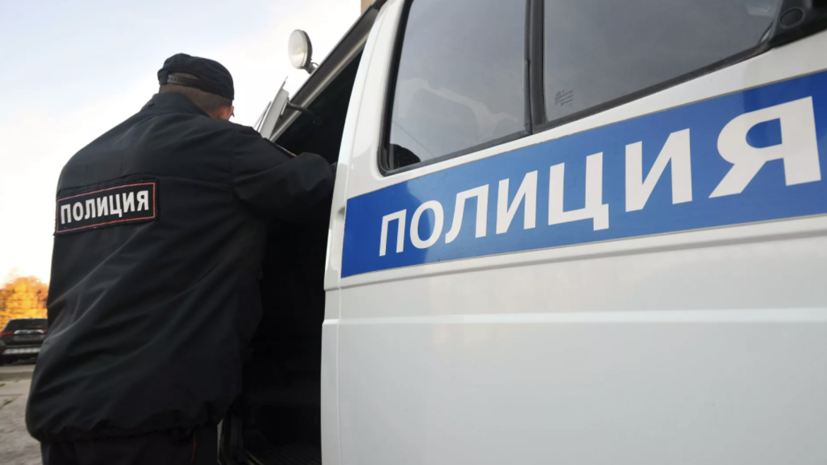 Полиция установила личности всех напавших на мужчину с ребёнком в Новой Москве