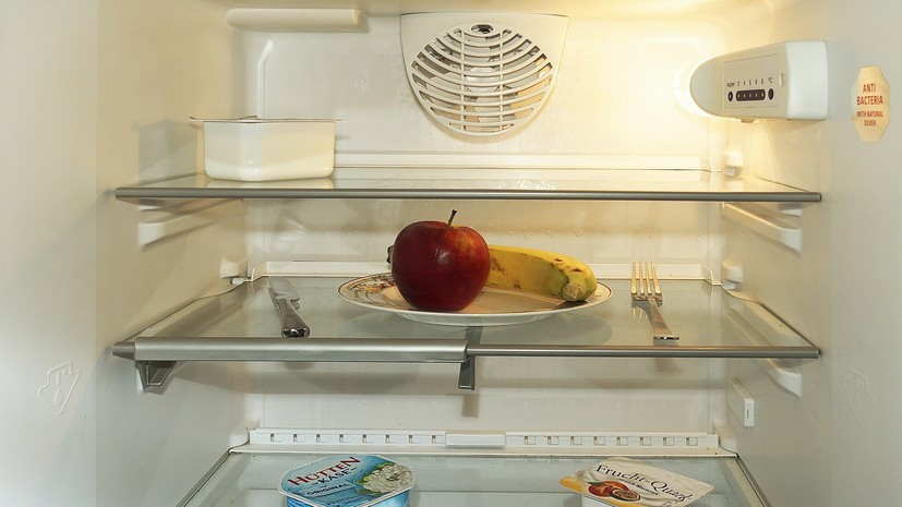 Телеведущий Малозёмов напомнил о важности своевременной разморозки холодильника
