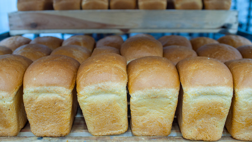 Диетолог Соломатина рассказала о возможном вреде ежедневного употребления белого хлеба