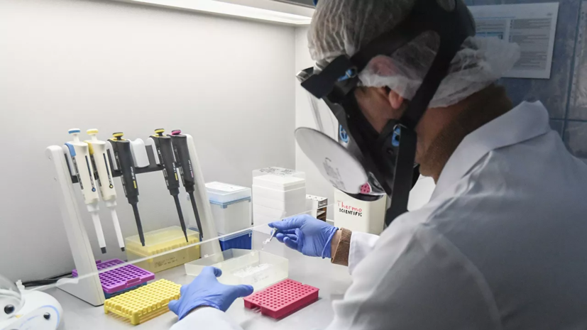 Минздрав Чехии заявил о возможном выявлении в стране нового штамма коронавируса