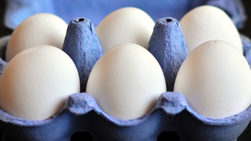 Диетолог Дианова перечислила хорошо усваиваемые блюда из яиц