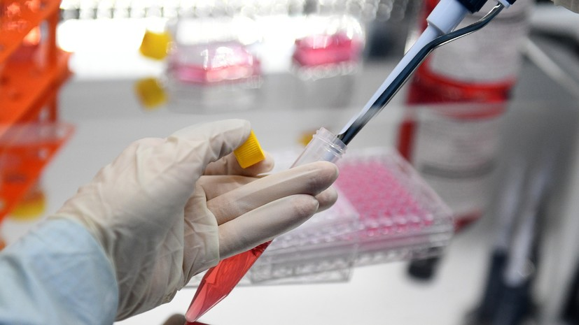 В ВОЗ заявили об обнаружении штамма коронавируса «омикрон» в 38 странах