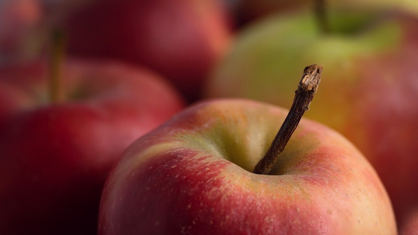 Диетолог Макиша рассказала о полезных свойствах яблок