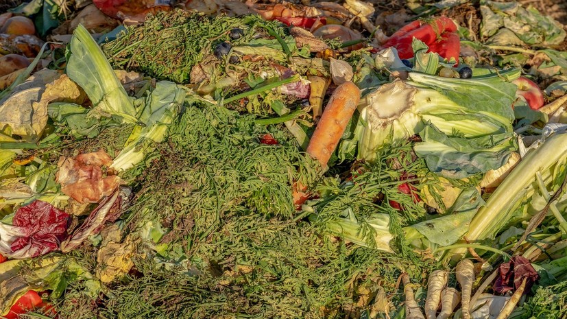 В России изучат возможность перерабатывания пищевых отходов ресторанов в удобрения