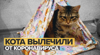 Новый Год Включи Видео