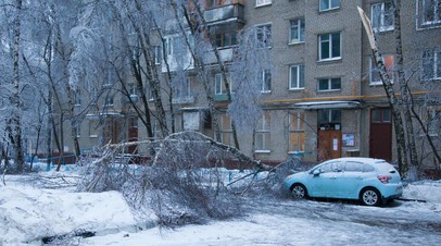 Россия Новости Видео И Фото Дня