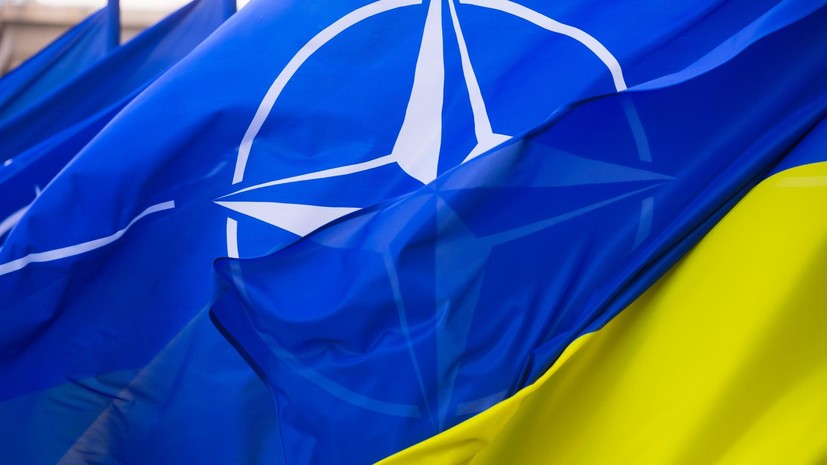 Депутат Белик прокомментировал обвинение России в лишении шансов Украины на вступление в НАТО