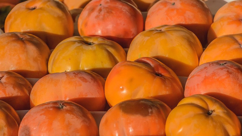 Диетолог Королева Фото — Фото Картинки