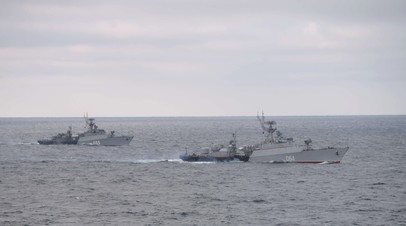 С помощью сухогруза под флагом Мальты: в Минобороны РФ заявили о попытке Киева вывезти из Мариуполя главарей Азова