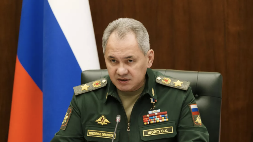 Глава Минобороны России Шойгу: Мариуполь находится под контролем российской армии