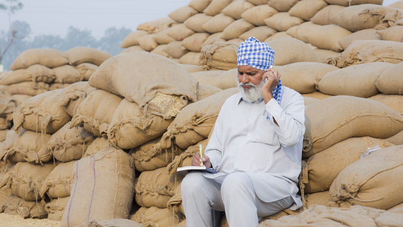 Индия снизила прогноз по производству пшеницы