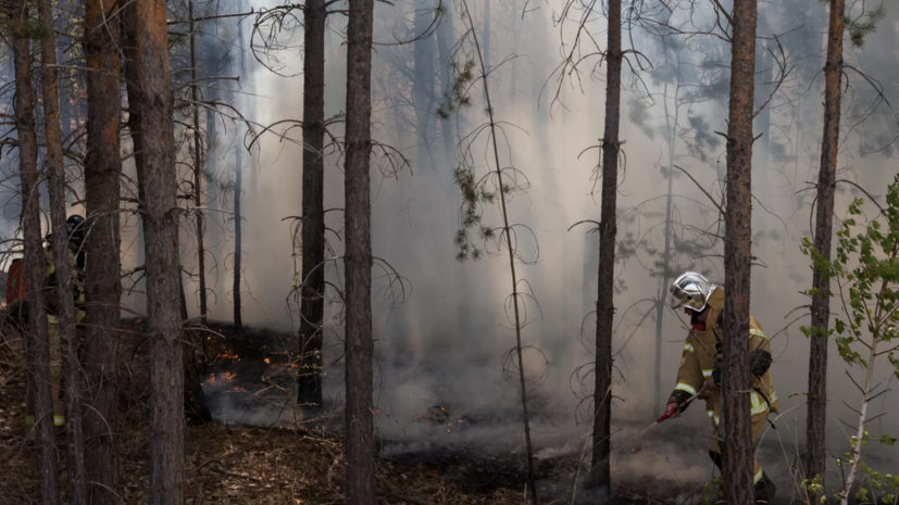 В Тюменской области возбудили десять уголовных дел по фактам природных пожаров