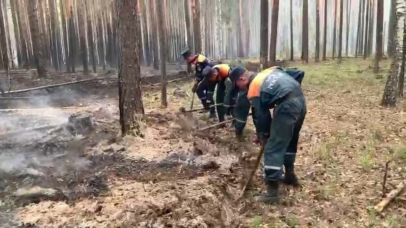 В МЧС заявили о локализации всех природных пожаров в Курганской области