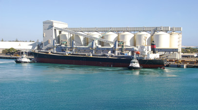 CTV: Канада готова помочь с вывозом зерна из портов Украины