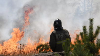 В Красноярском крае за сутки ликвидировали 17 лесных пожаров